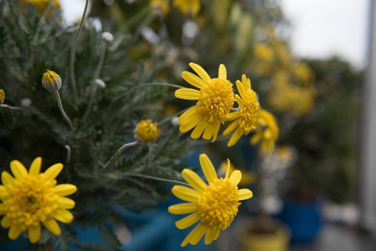Dandy On The Beach Nea Kallikrateia - Open Up Roof - Down Town 외부 사진